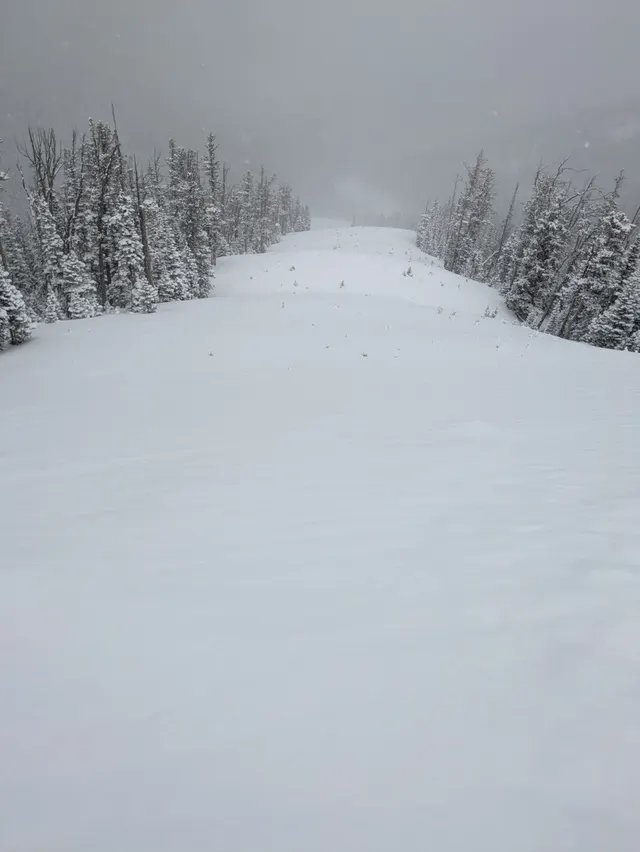 Snow-covered run framed by evergreens