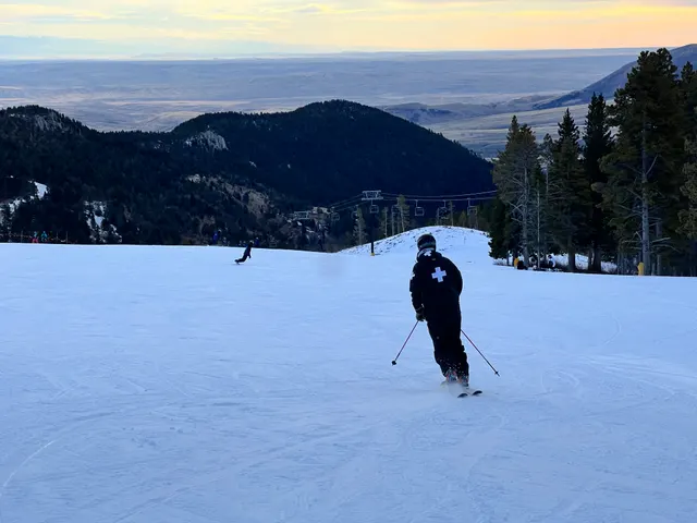 Skier with forested mountains behind them